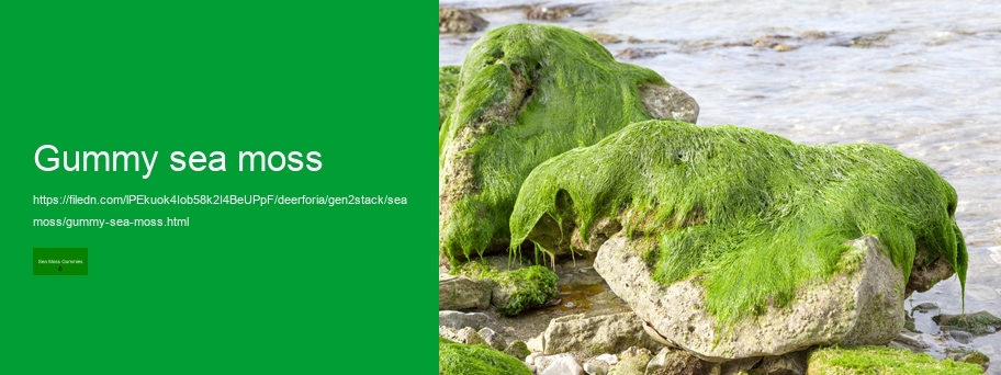 what are the benefits of sea moss gummies